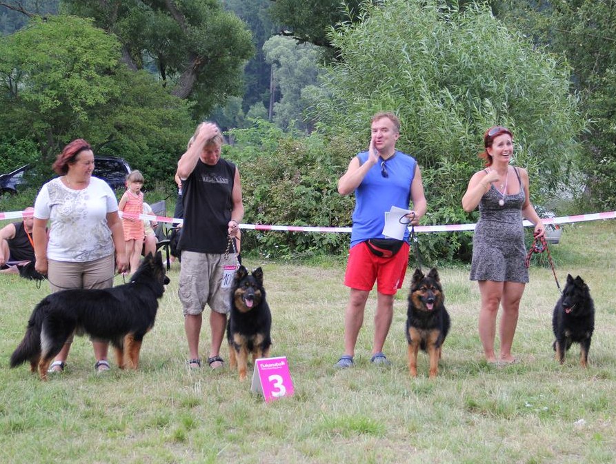 Olsovec_2012